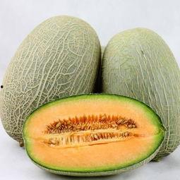 网红鹅喜欢吃哈密瓜吗,揭秘哈密瓜的诱惑