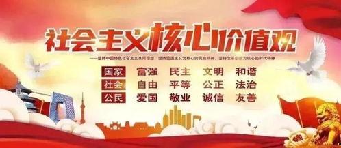 诏安媒体爆料案件最新,最新案件进展揭秘，疑云重重引关注